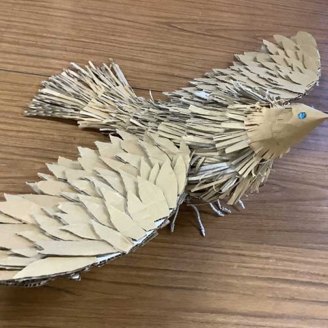 飛行鳥